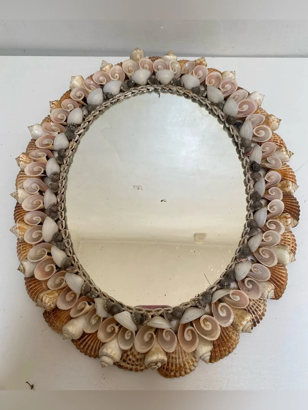 Vtg. Vintage Coquillage Seashell Oval Mirror Natural Shell Pastel Palette